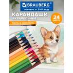 Карандаши акварельные Brauberg 24 шт.