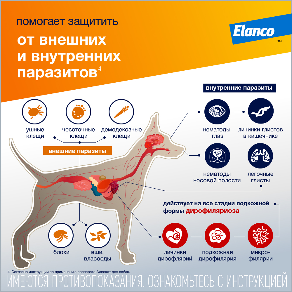 Капли для собак Elanco Адвокат более 25кг антипаразитарные 1пипетка - фото 3