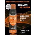 Дезодорант для тела BREEZE в аэрозольной упаковке Power Protection 150мл