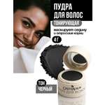 Тонирующая пудра GREENAURUM черная, 2 спонжа