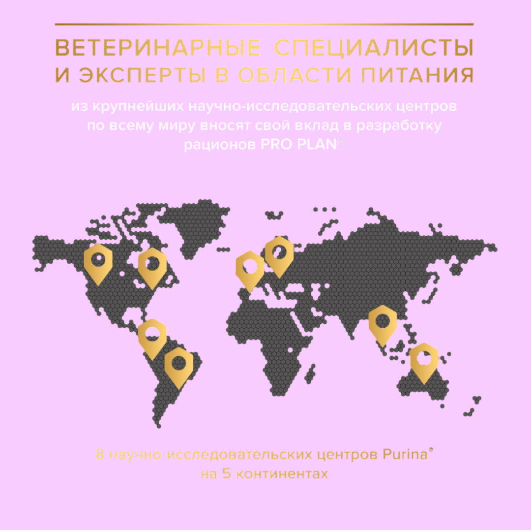 Сухой корм PRO PLAN OptiDigest Sterilised - фото 4