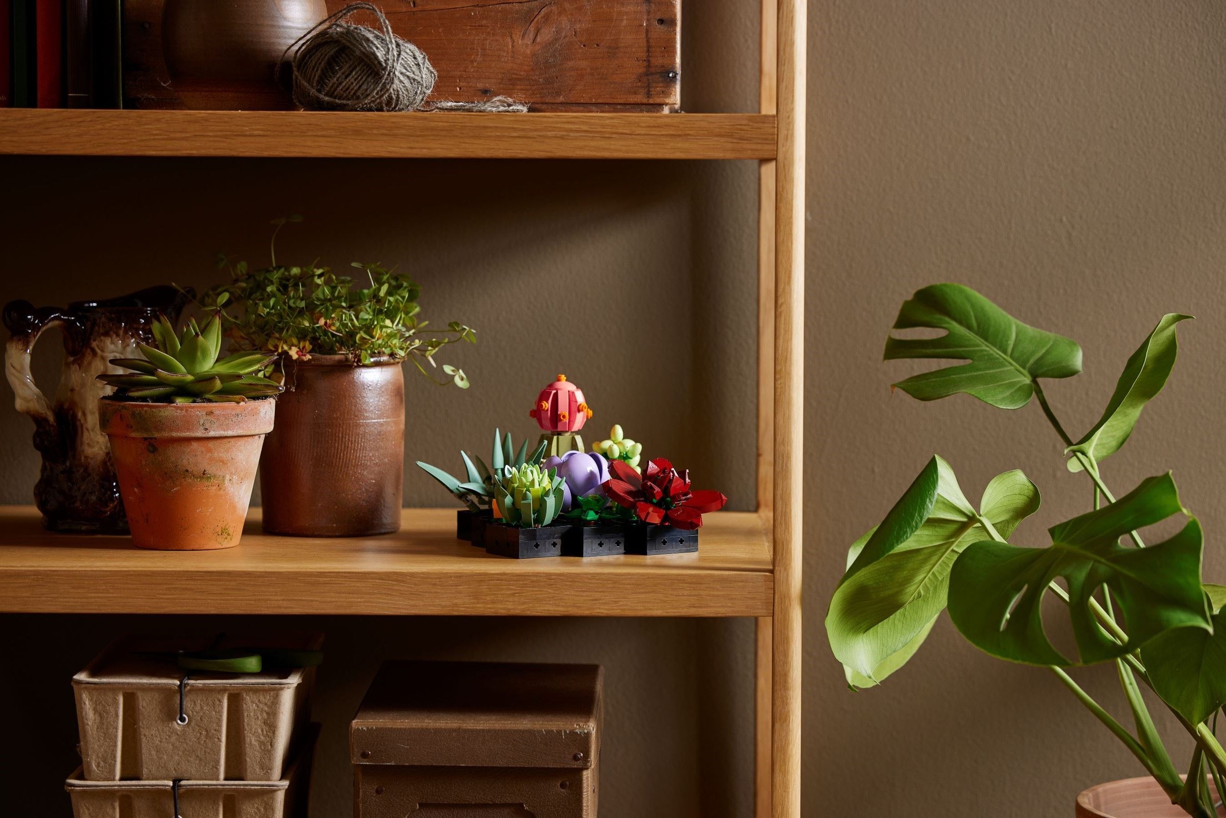 Конструктор LEGO Botanicals 10309 771 дет. - фото 8