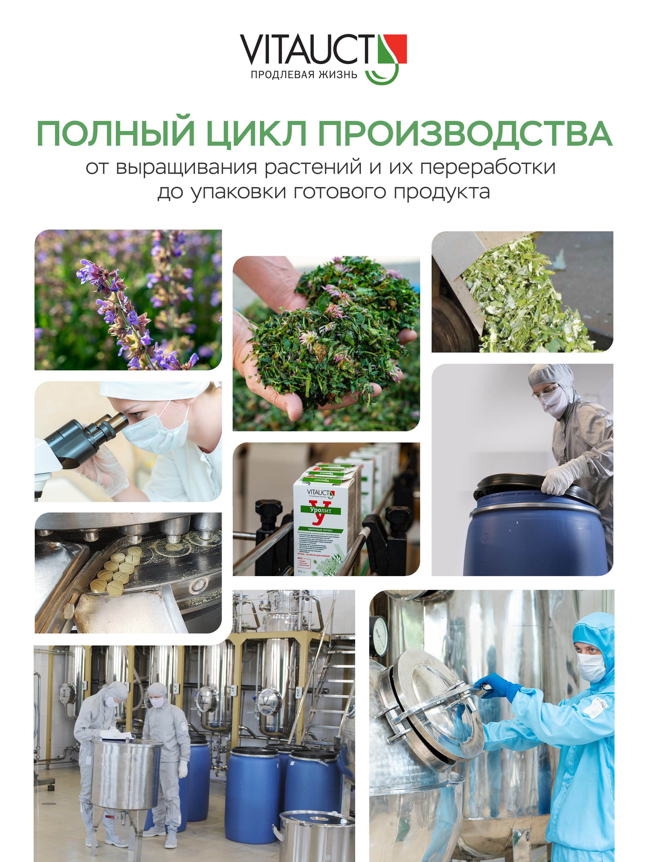 Масло VITAUCT Чёрный тмин масло 100 г - фото 4