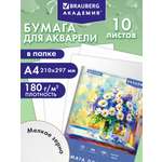 Художественная бумага Brauberg 10 лист.
