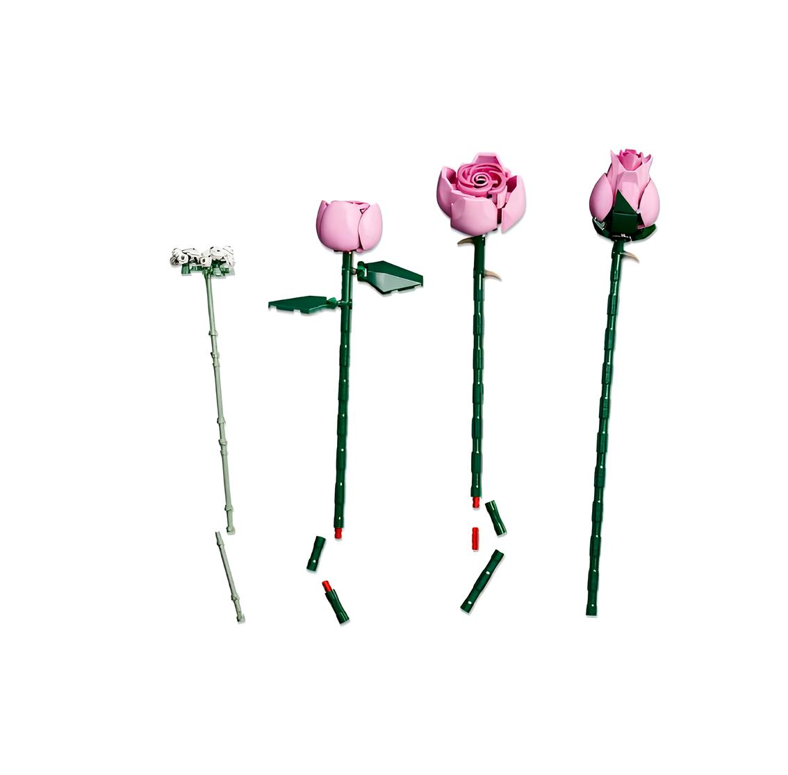 Конструктор LEGO Botanicals 10374 789 дет. - фото 8