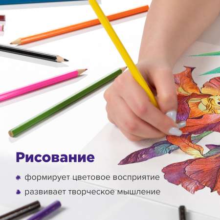 Карандаши акварельные Brauberg 24 шт.