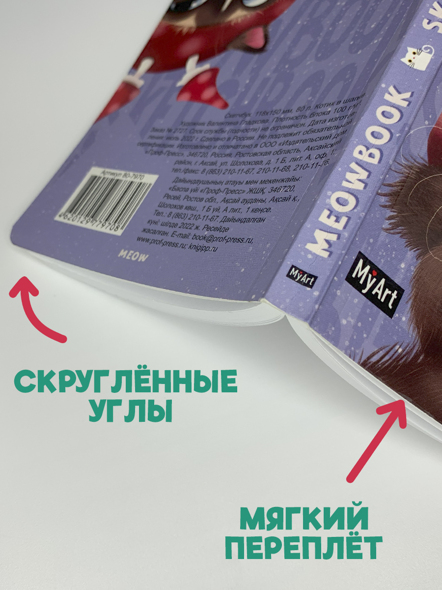 Скетчбук Проф-Пресс карманный блокнот Meowbook. А6 80 лист. 1 шт. - фото 4