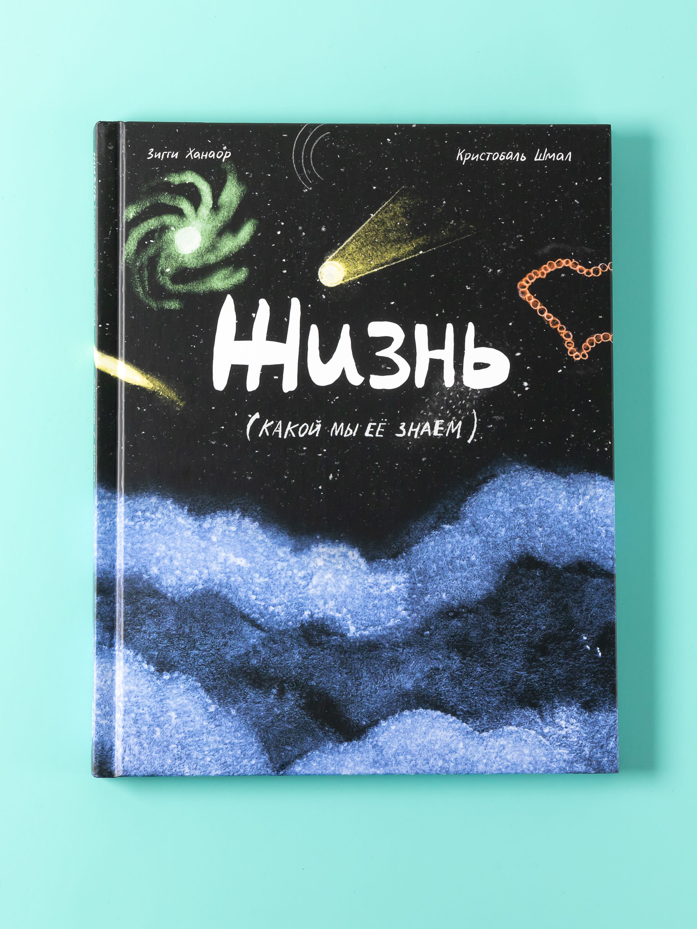 Книга Альпина. Дети Жизнь какой мы её знаем - фото 5