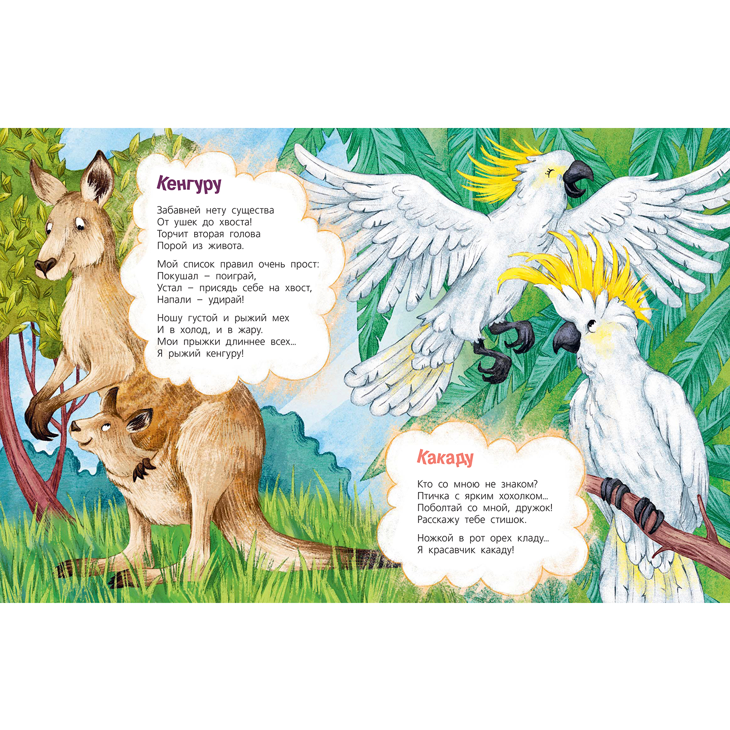 Книга ЭНАС-книга Посмотри где мы живем! - фото 5