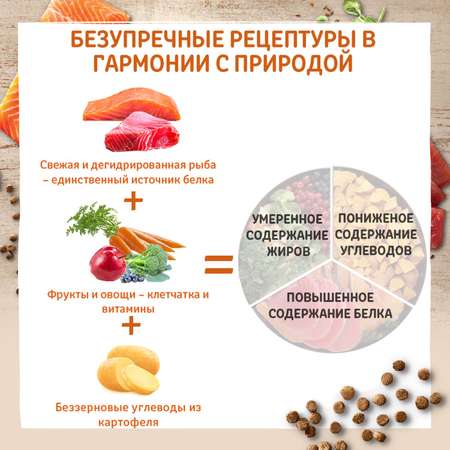 Корм для кошек Wellness CORE взрослых лосось тунец 4кг