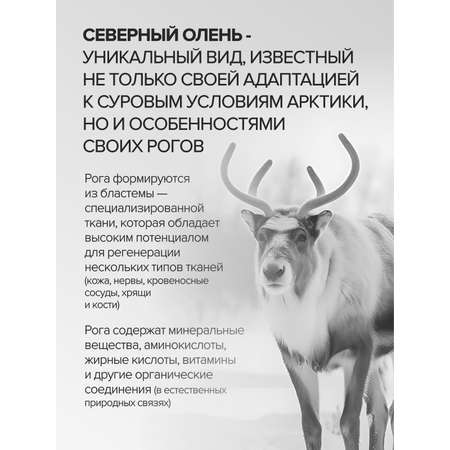 Комплекс витаминов Цыгапан CigaPan Цыгапан мультивитамины для женщин и мужчин, 60 капсул