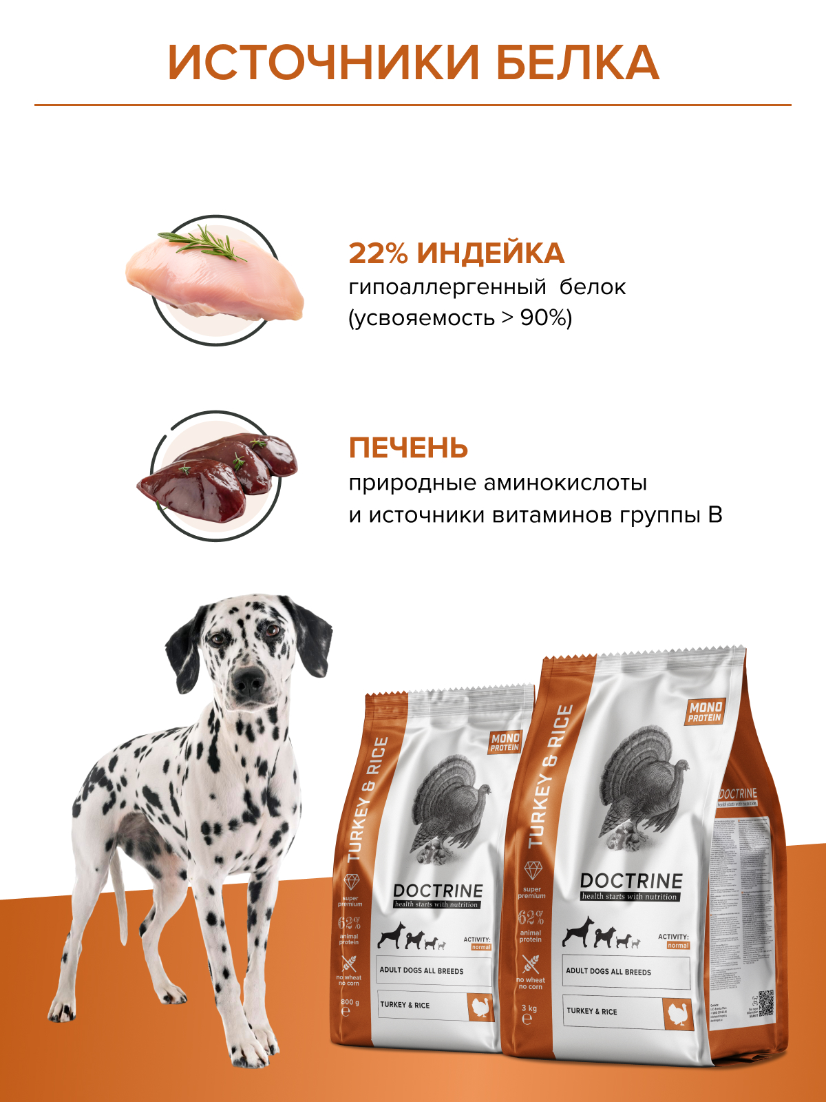 Корм для взрослых собак DOCTRINE сухой с индейкой и рисом 800 г - фото 5