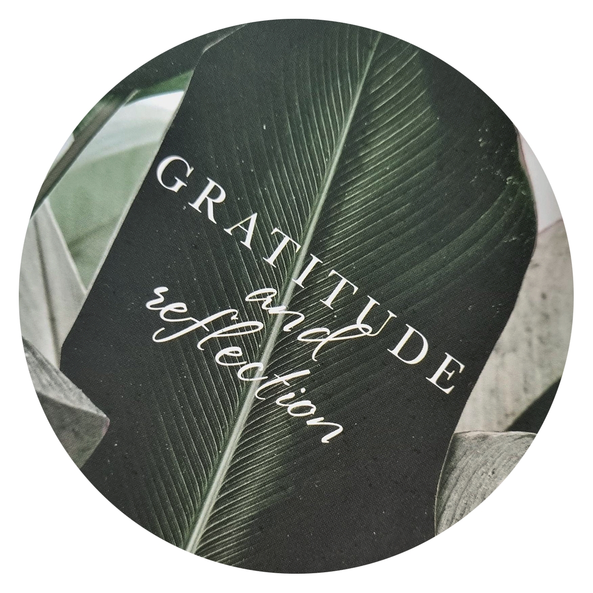 Общая тетрадь Be Smart клетка 120 лист. - фото 5