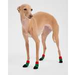 Носочки для собак и кошек Зоозавр 4 шт