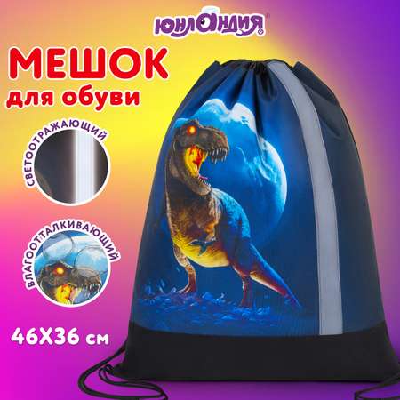 Мешок для обуви Юнландия