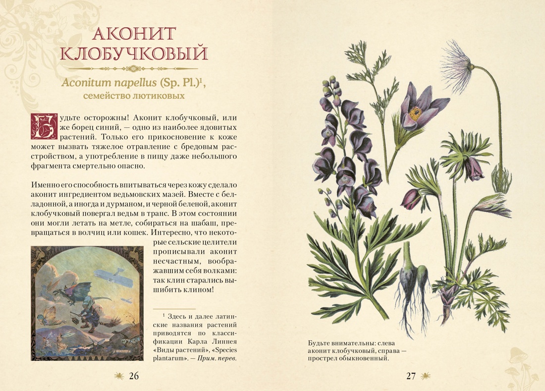 Книга КОЛИБРИ Магическое Средневековье. Лаис Э. Яды. Секретная сила растений - фото 10