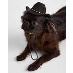 Изображение товара Шляпа для собак и кошек Зоозавр: M