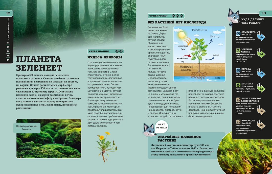 Книга Махаон ЭдЛ Грюлинг Б Наша Земля - фото 11