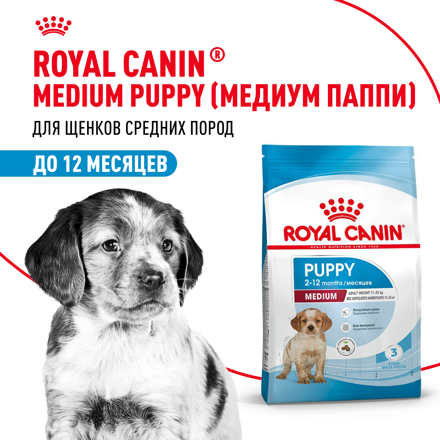 Корм для щенков ROYAL CANIN Medium Puppy средних пород 14кг - фото 1