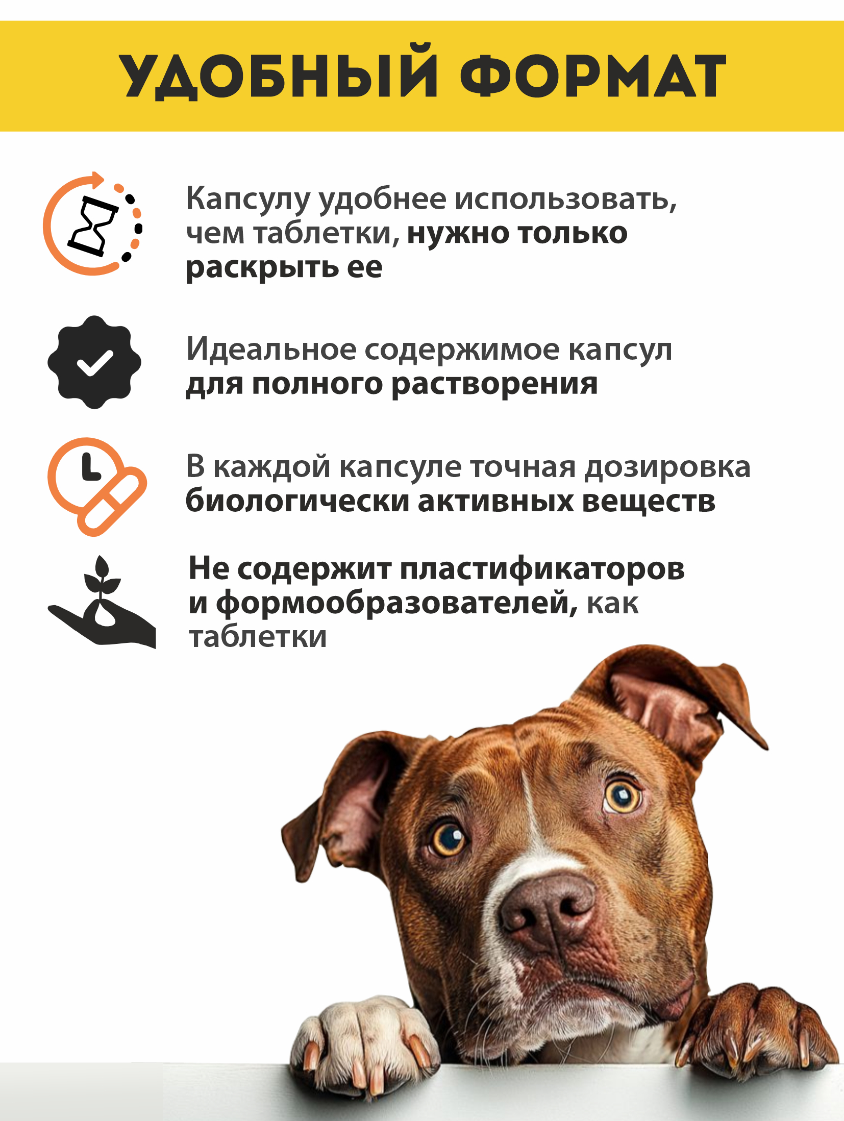 Витаминный комплекс ALTAI ANIMAL для собак Здоровые суставы крепкие кости - фото 4