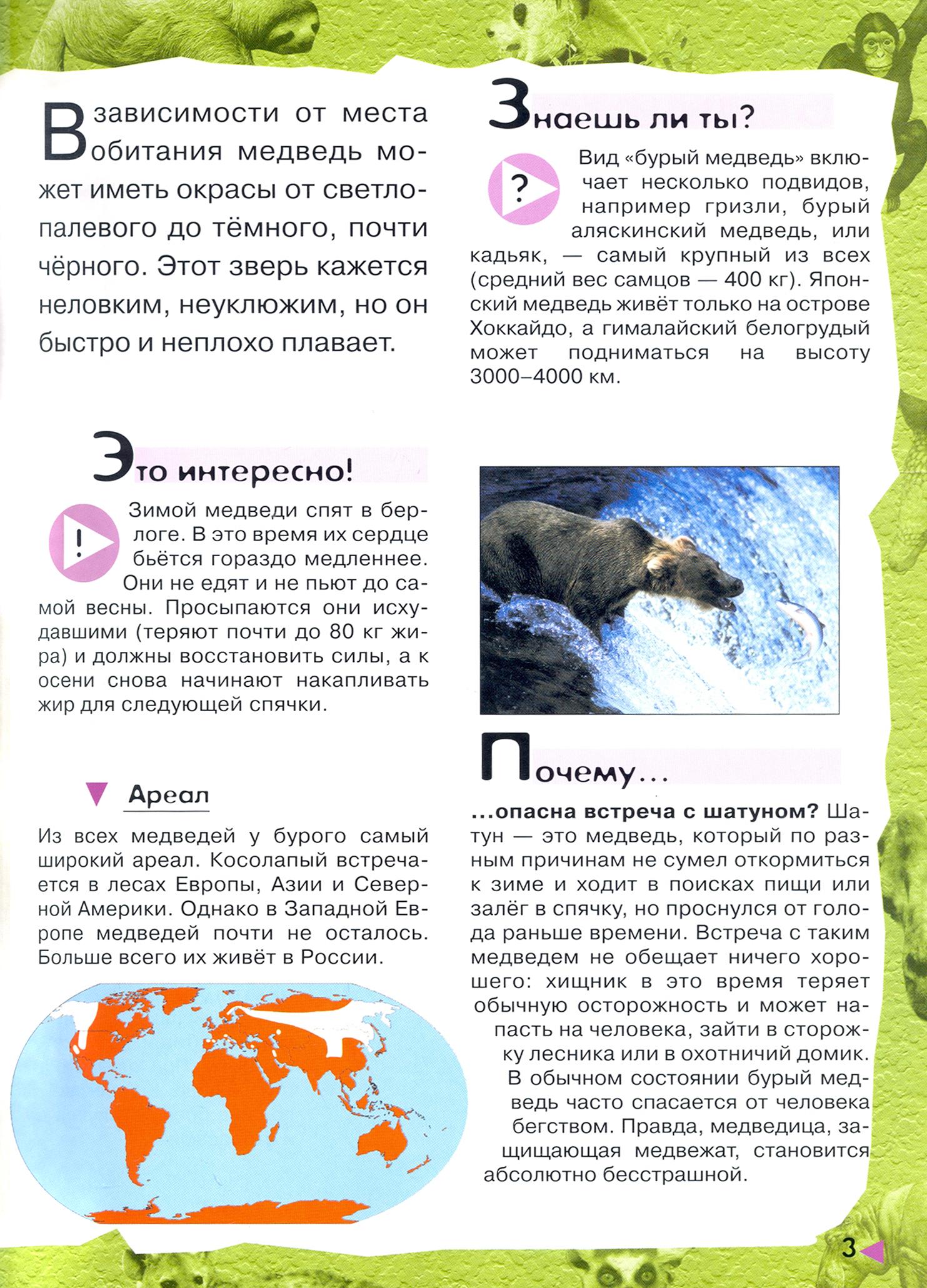 Книга Лабиринт В лесу в жарких странах рядом с нами - фото 4
