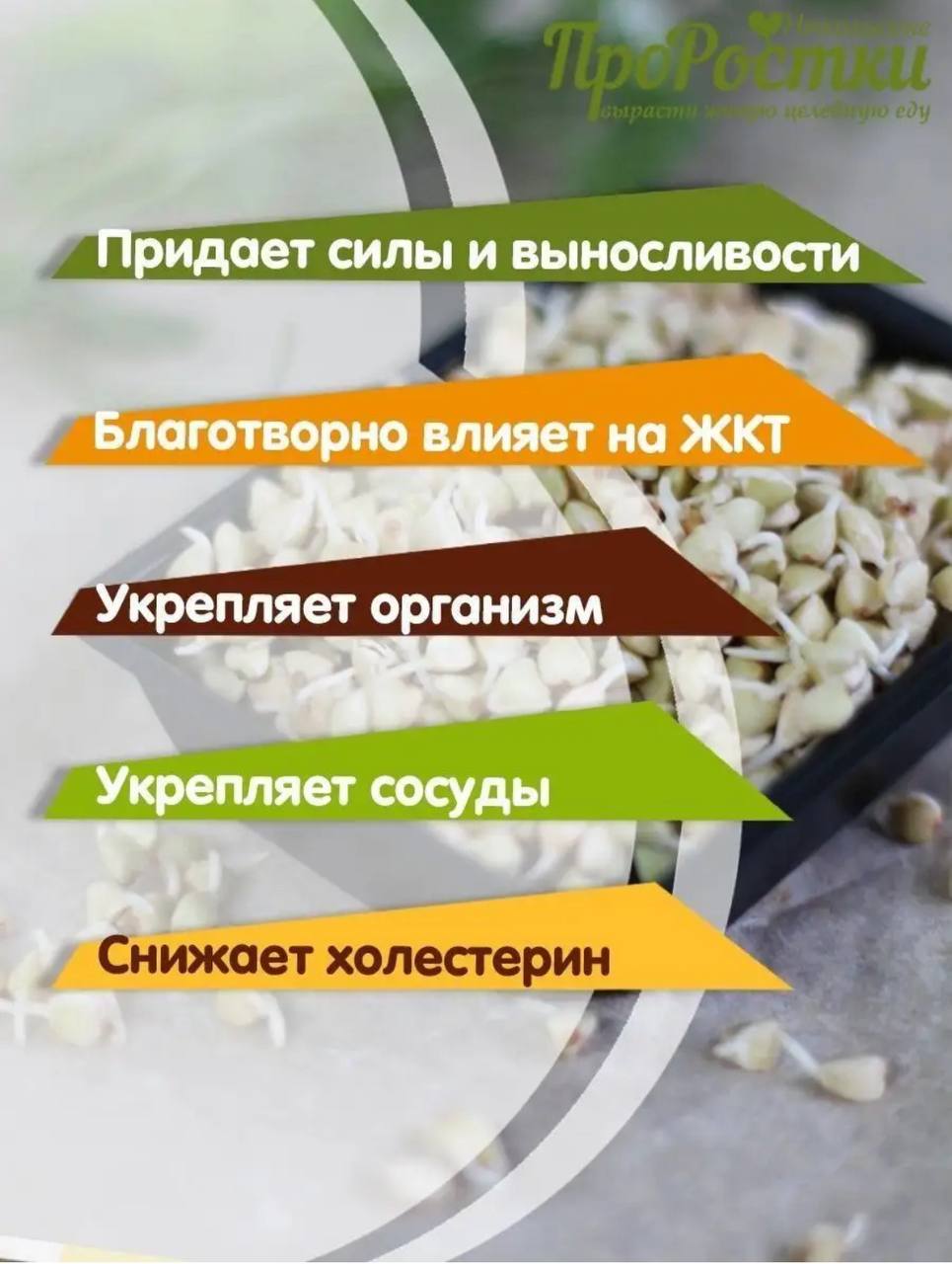 Семена для микрозелени Никольские ПроРостки гречка зеленая - фото 5