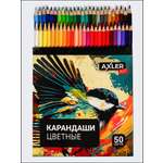 Карандаши цветные AXLER 50 шт.