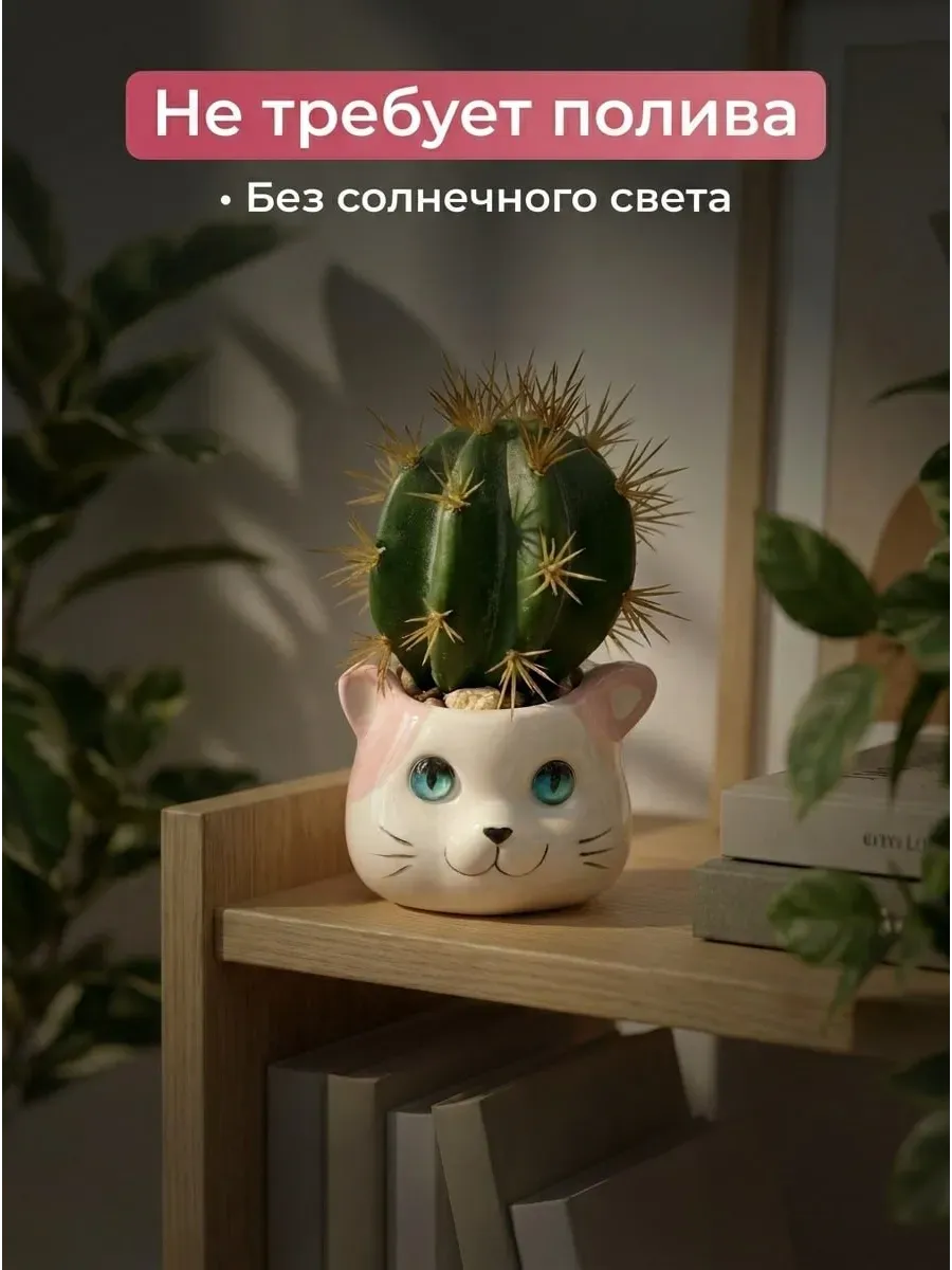 Искусственные цветы SOFANNA кошка 1 2 суккулент силикон - фото 7