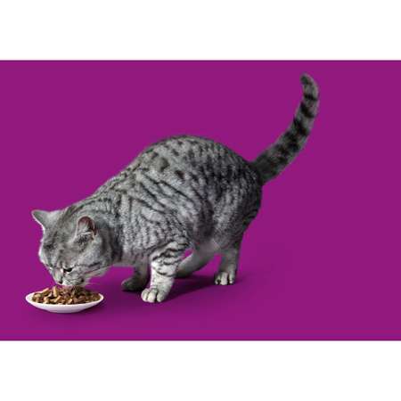 Корм влажный для кошек Whiskas 85г рагу с курицей пауч