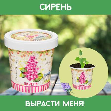 Набор для выращивания Rostok Visa