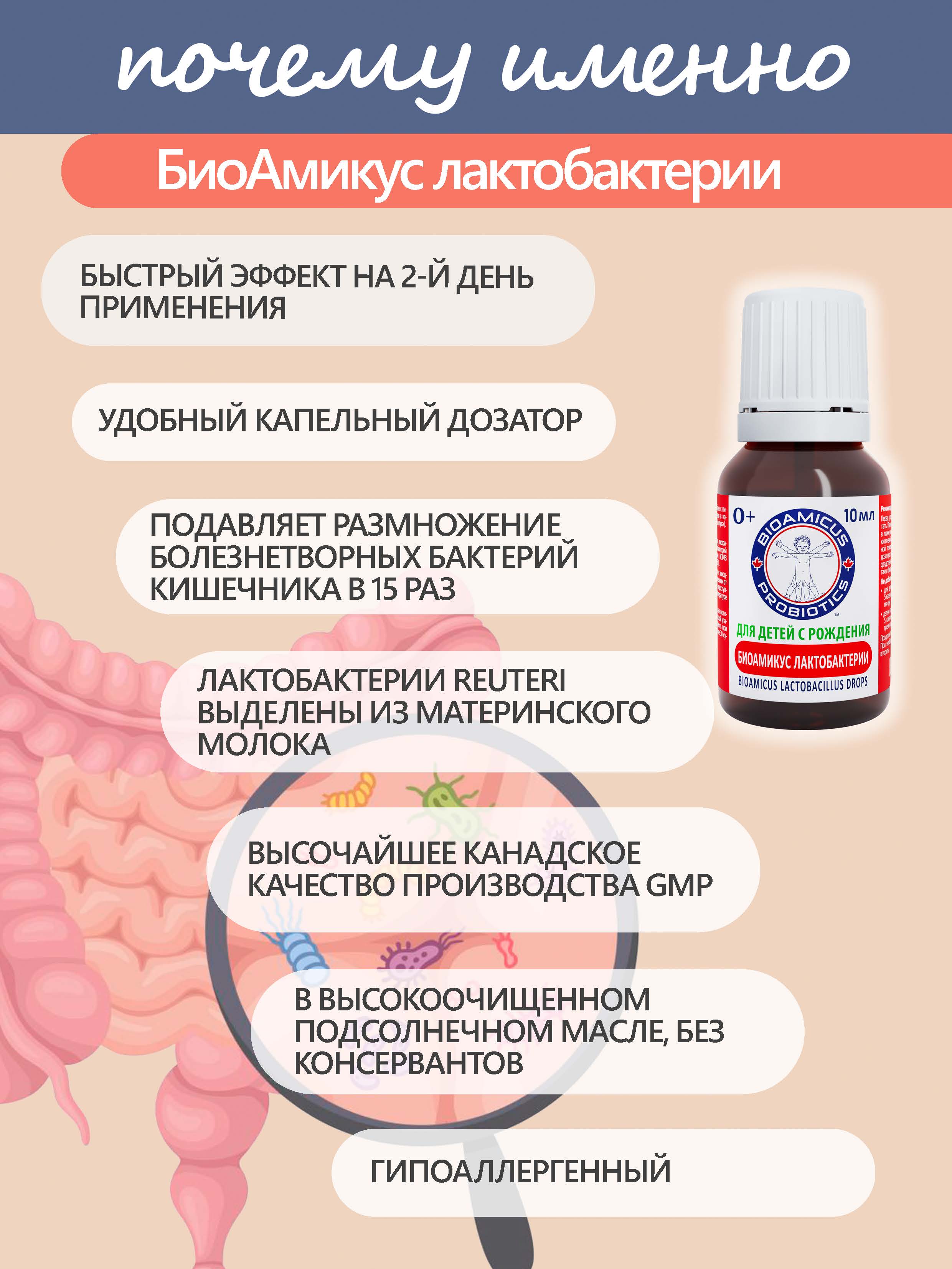 Пробиотик Лакто Реутери BioAmicus В каплях с рождения 10 мл - фото 2