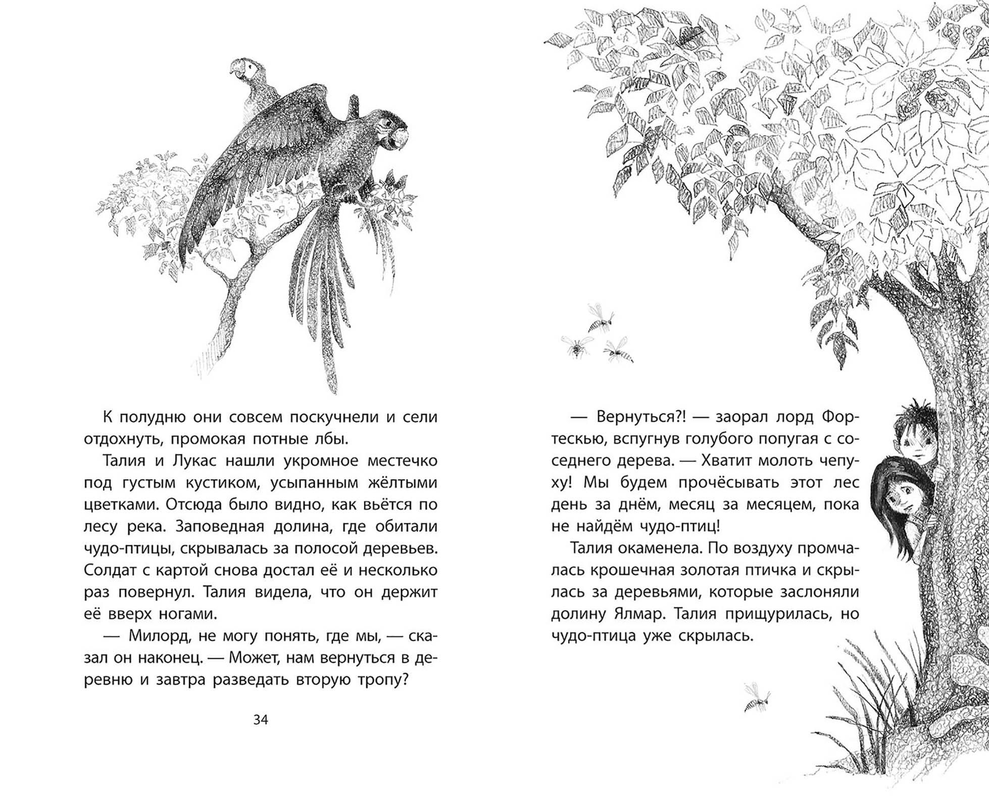 Книга Качели Искорка - чудо-птичка - фото 8