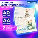 Альбом Brauberg А4 40 лист. 2 шт.