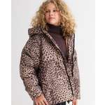 Куртка MINIDINO