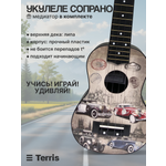 Игрушка музыкальная Terris PLUS 70 CARS укулеле
