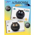 Альбом ШКОЛЬНЫЙ МИР Детский А4 40 лист. 2 шт.