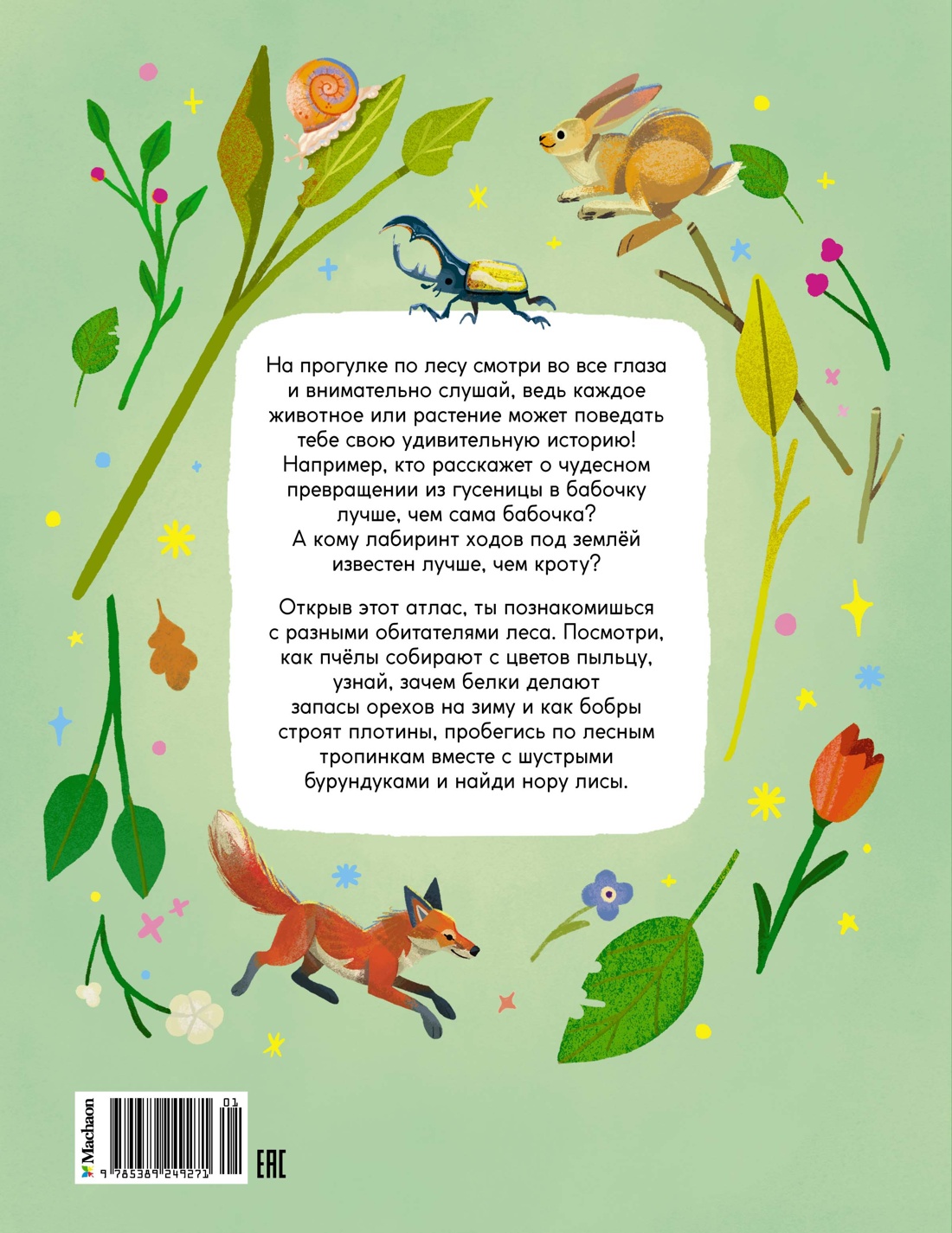 Книга Махаон Кто живёт в лесу Иллюстрированный атлас животных - фото 17