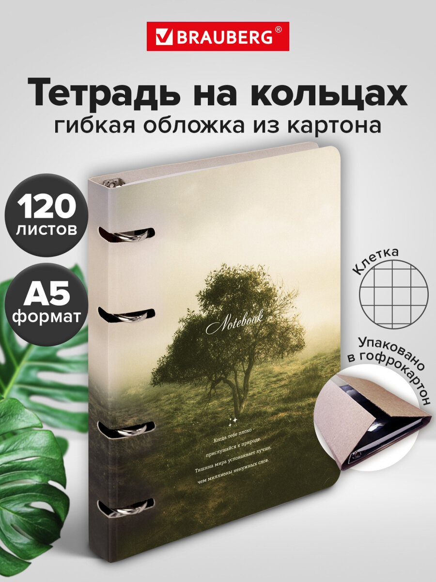 Тетрадь Brauberg клетка - фото 1