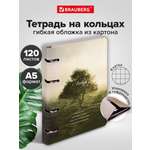 Тетрадь Brauberg клетка