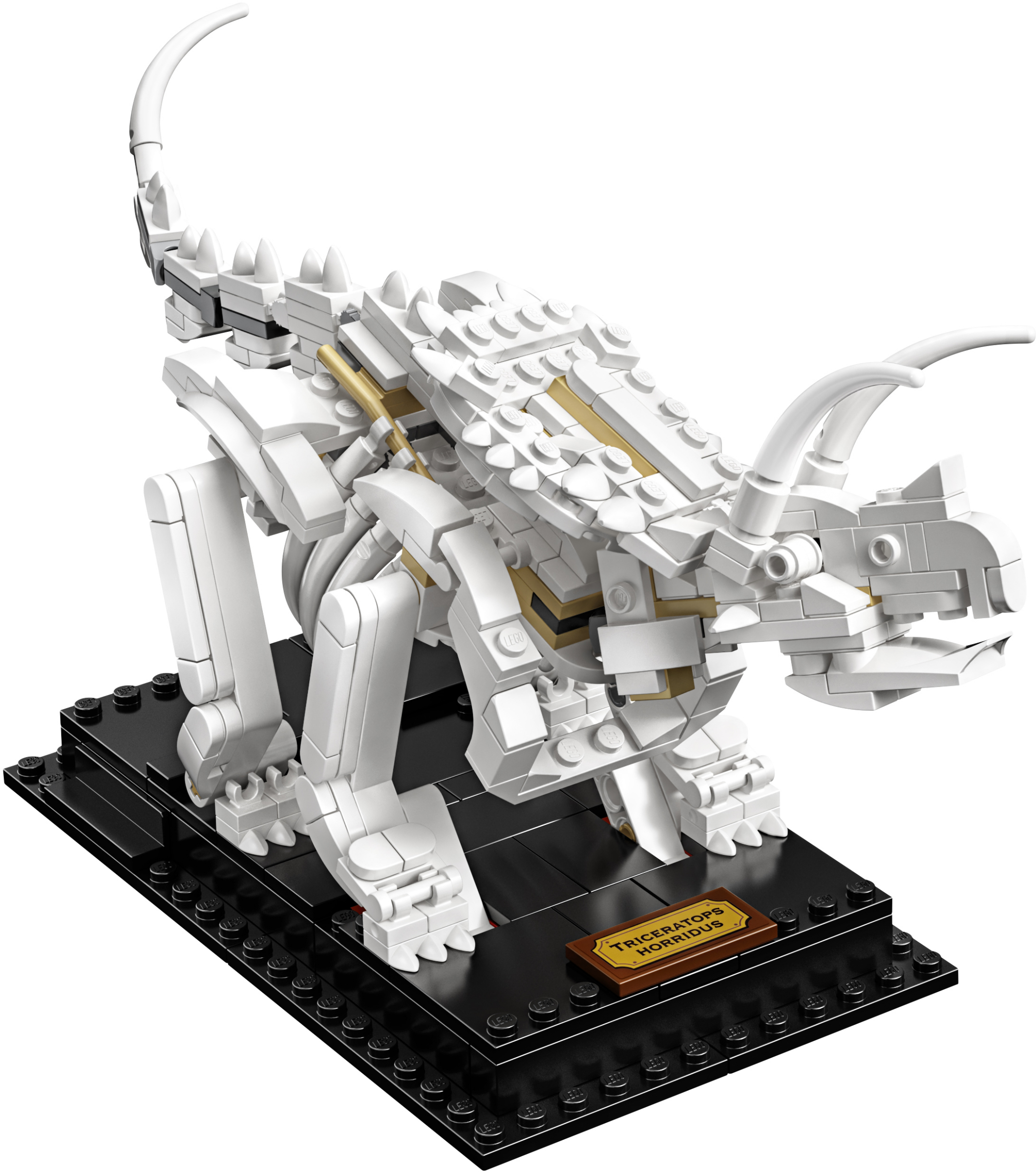 Конструктор LEGO Ideas 21320 910 дет. - фото 12