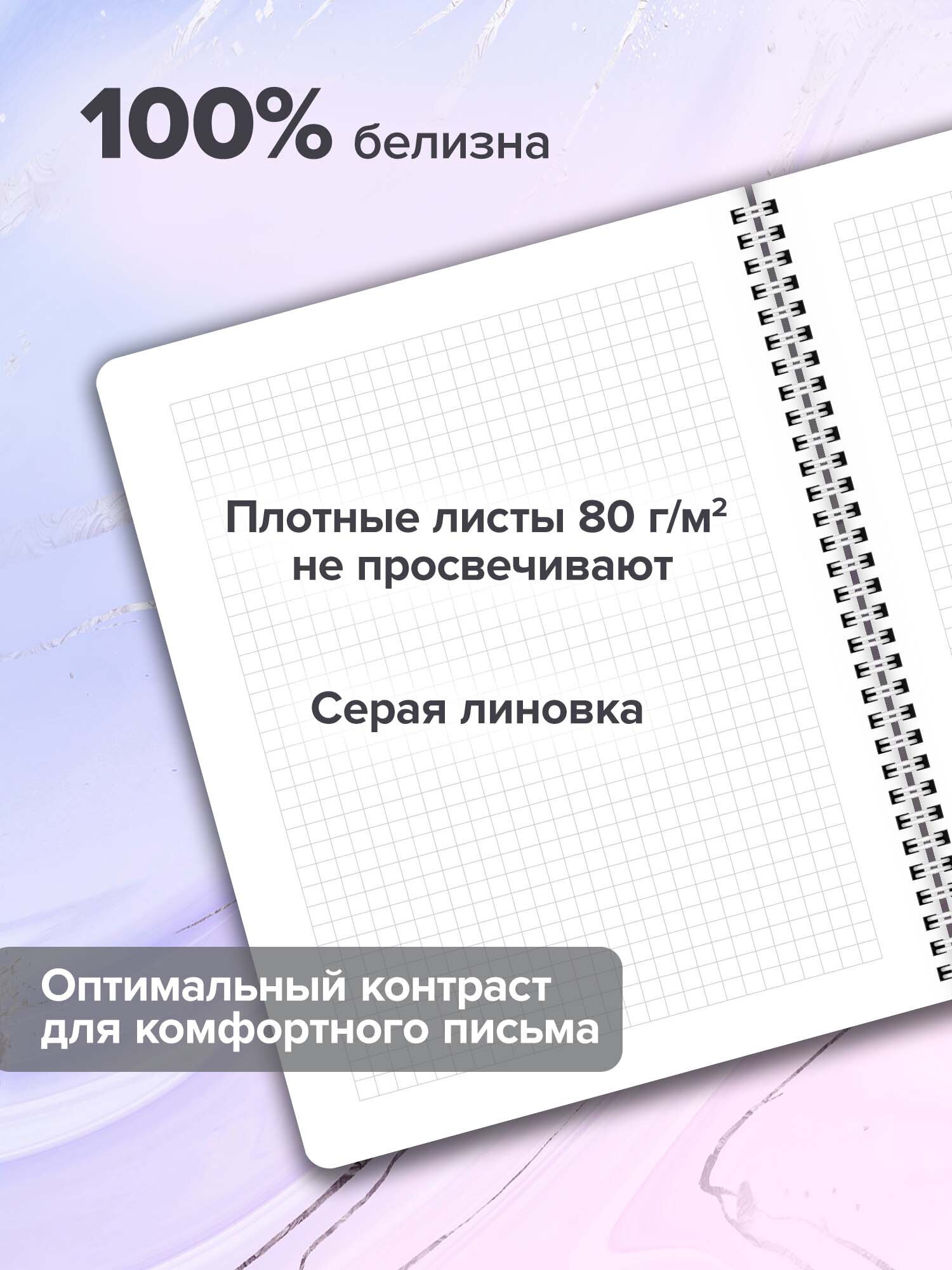 Тетрадь Brauberg клетка 48 лист. 4 шт. - фото 2
