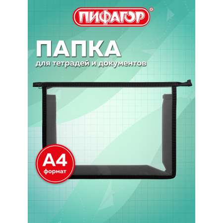 Папка для тетрадей Пифагор А4