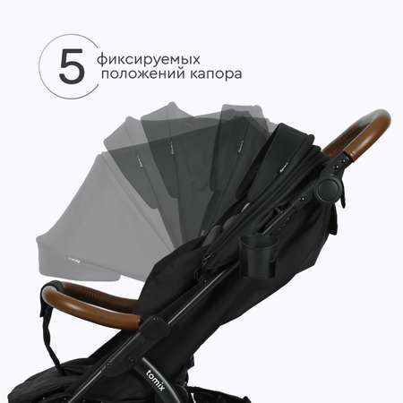Коляска прогулочная Tomix Stella Lux