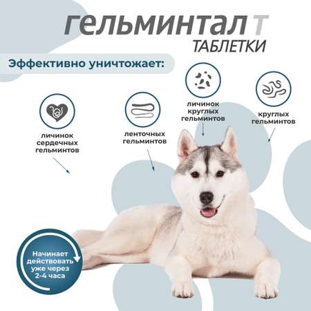 Антигельминтик для собак Гельминтал более 10кг 2шт