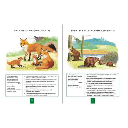 Набор книг Школьная Книга Развитие речи через познание окружающего мира. 4 шт
