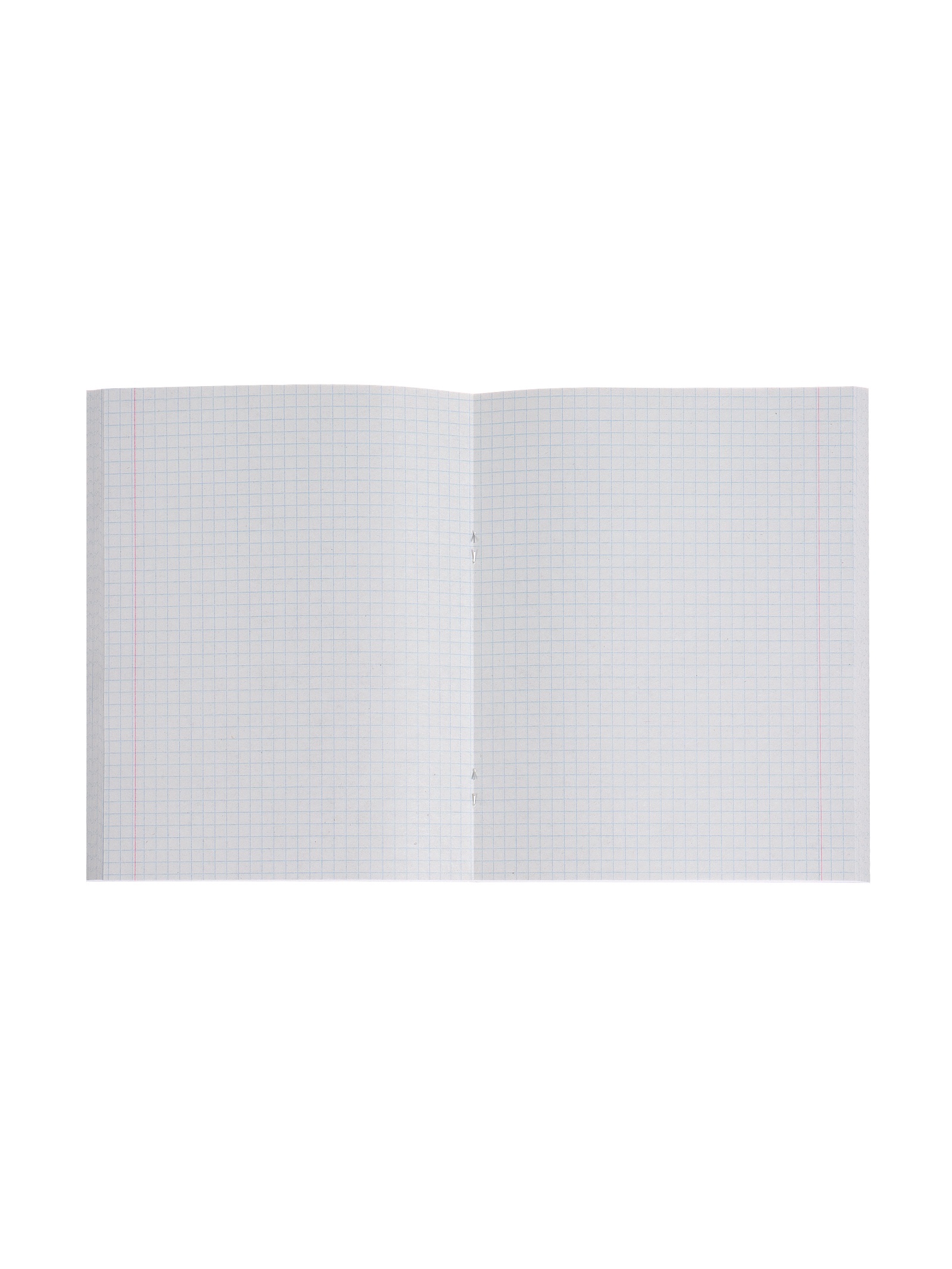 Тетрадь Calligrata клетка - фото 5