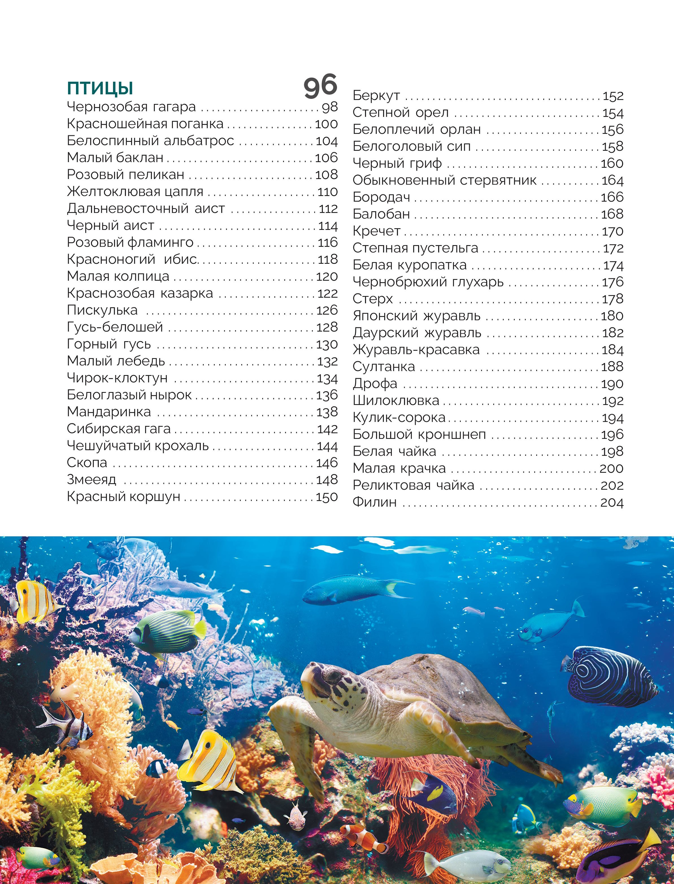 Книга Эксмо Красная книга России Большая - фото 4