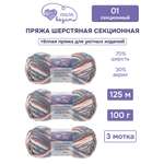 Пряжа для вязания Люблю Вязать Шерстяная секционная 100 г 125 м 3 шт