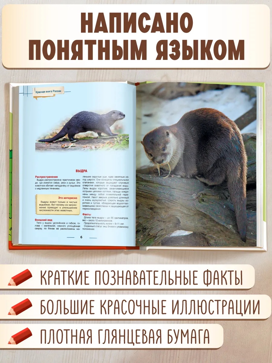 Книга Проф-Пресс Энциклопедия для детей. Красная книга России - фото 2