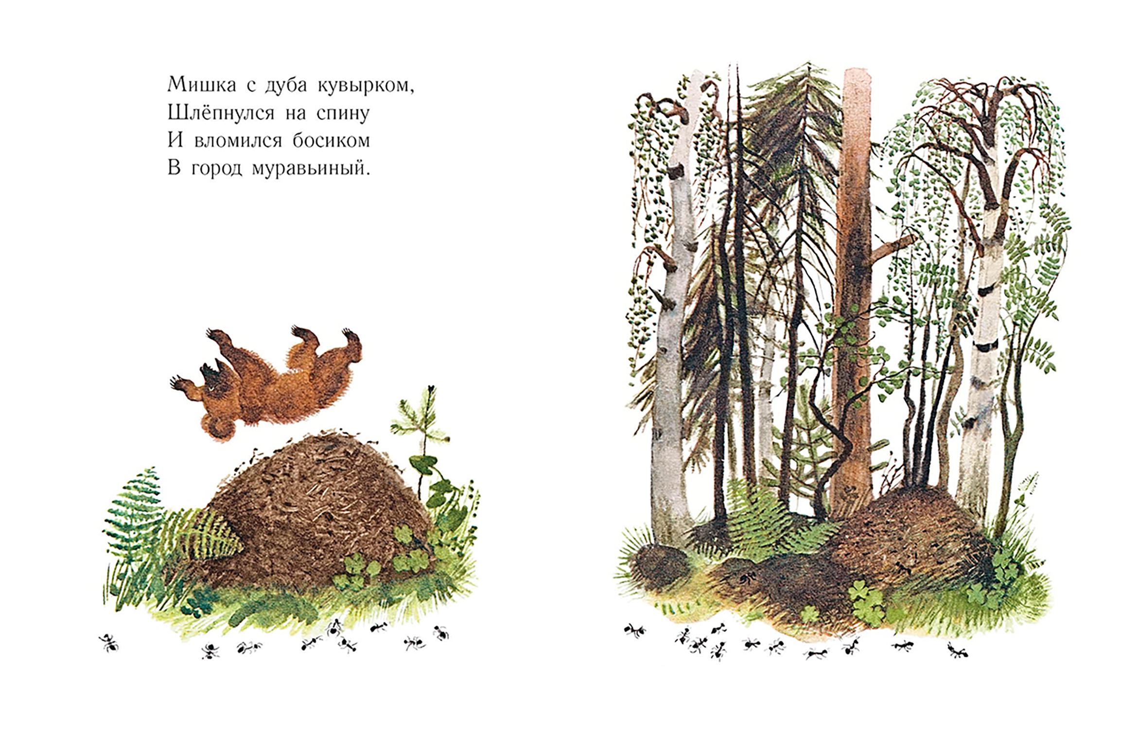 Книга Издательство Речь Мишка - фото 5